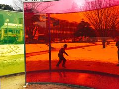 -金泽21世纪美术馆