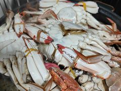 -济南海鲜大市场
