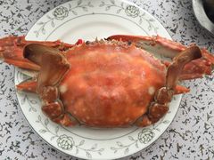 -南戴河海滨市场