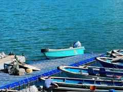 -海沧湾公园