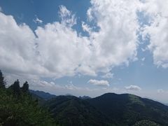 -武陵山森林公园