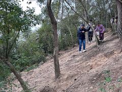 -青龙山国家森林公园
