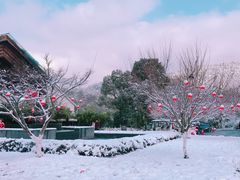 -苏州环秀晓筑养生度假村