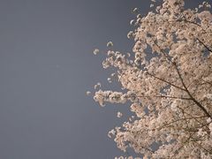 -重庆中央公园(渝北区)
