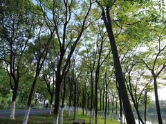 -艾溪湖湿地公园