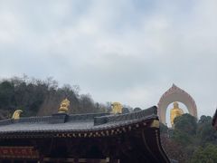 -庐山风景名胜区-东林大佛