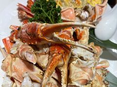 松叶蟹-日进一片海.生腌海鲜火锅.宵夜烧烤(三里屯总店)