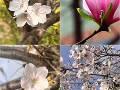 -艾山风景名胜区