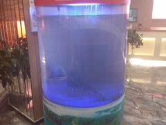 -解家河南菜(商鼎路店)