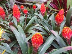 -华南国家植物园-售票处