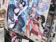 -Animate(秋叶原本馆)