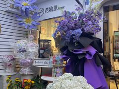 -溪岸路花鸟市场