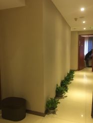 -唯伊美塑身美养连锁