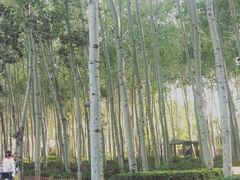 -仁和公园(顺义区)
