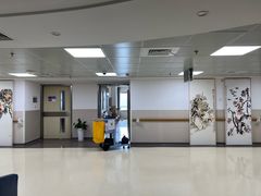 -上海市东方医院(总院)