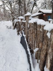 -大秃顶子山