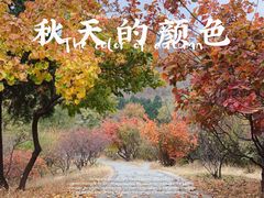 -北京西山国家森林公园