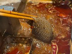 -海底捞火锅(奥森店)