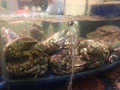 -海景壹号大酒店(滨湖店)