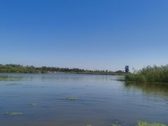 -春花秋色城市公园