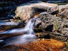 -广州白江湖森林公园