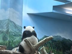 -武汉动物园