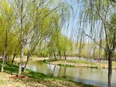 -东郊湿地公园