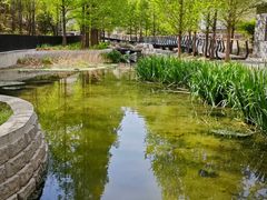 -白水寺森林公园