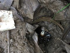 -吴淞炮台湾湿地森林公园烧烤区