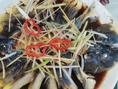 -煲来饱去冷水鱼