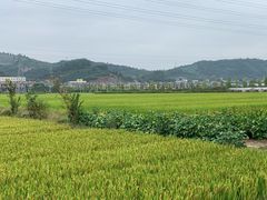 -李东农庄(中南百草园地标店)