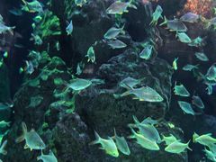 -成都浩海立方海洋公园