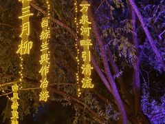 -万泉公园