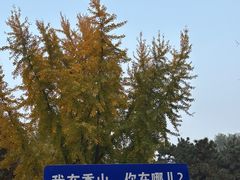 -香山公园