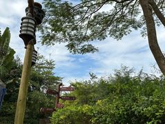 -碧桂园润杨溪谷温泉酒店