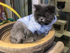 -小时光咖啡馆(开森度假森林店)