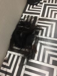 点击看大图 -意念造型