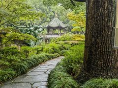 -申粤轩酒楼·三十年粤菜经典(丁香花园店)