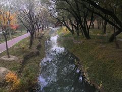 -北坞公园