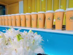 -凤来茶餐·粤菜馆(珠江新城店)