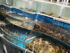 -四海蒸鲜蒸汽海鲜自助(北戴河店)
