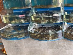 -蓝珊甄选海鲜自助·火锅大排档(近阿那亚店)