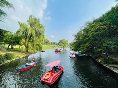 -上海共青森林公园