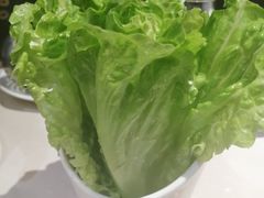 -浩爷羊蝎子火锅(望京店)