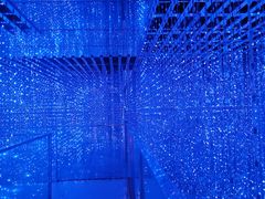 -正佳自然科学博物馆