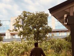 -浦口码头(轮渡站)