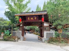 -青城甲(青城山店)