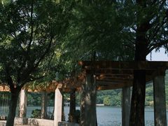 -深圳仙湖植物园