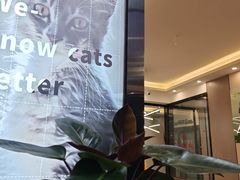 -半岛宠物医院24小时(西派城店)