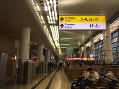 -谢列梅捷沃国际机场